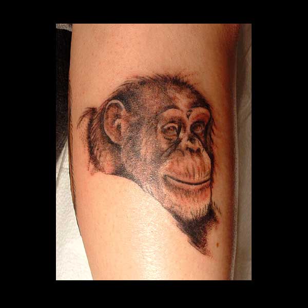 Carla Hopkins - Monkey