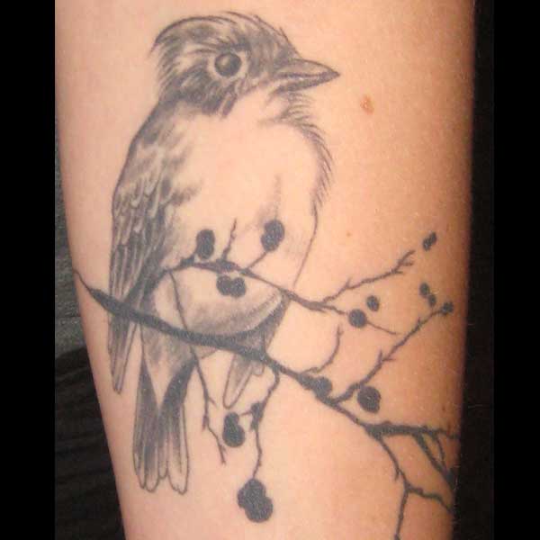 Carla Hopkins - Small bird