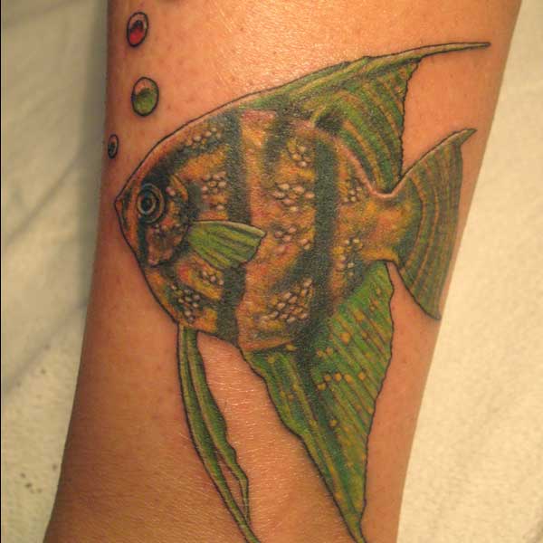 Cindy Vega - Fish