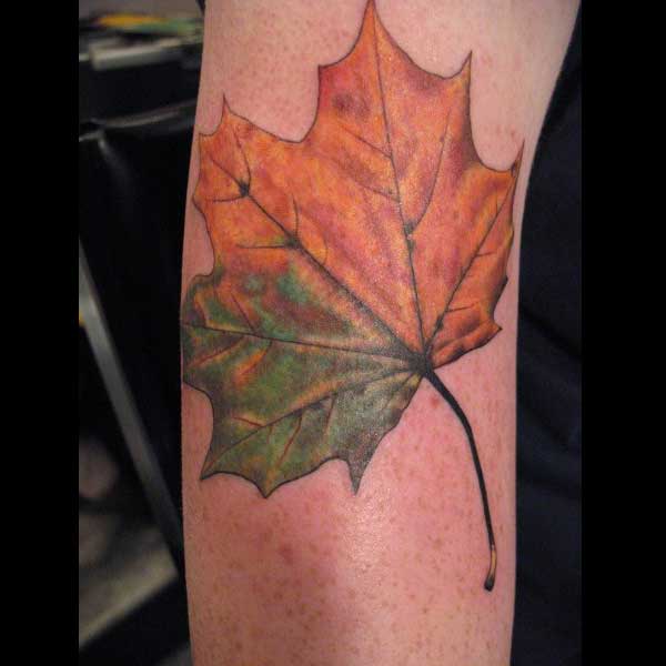 Cindy Vega - Leaf