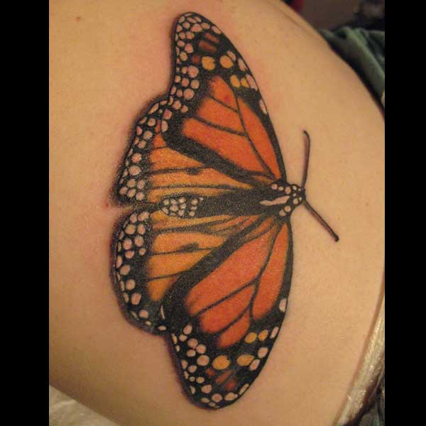Cindy Vega - Butterfly