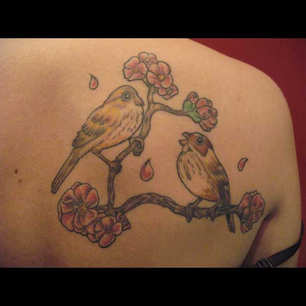 Cindy Vega - Birds