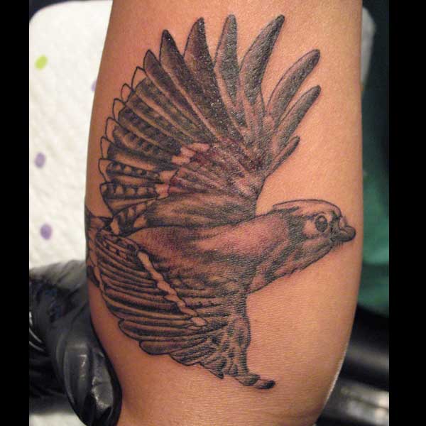 Cindy Vega - Bird
