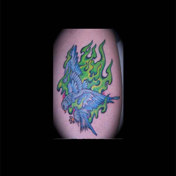 Clay Willoughby - Acid Bird