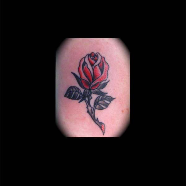 Clay Willoughby - Small Red Rose